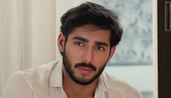 مشہور انفلوئنسر کا اداکار علی رضا کے ساتھ مبینہ تعلقات کا دعویٰ