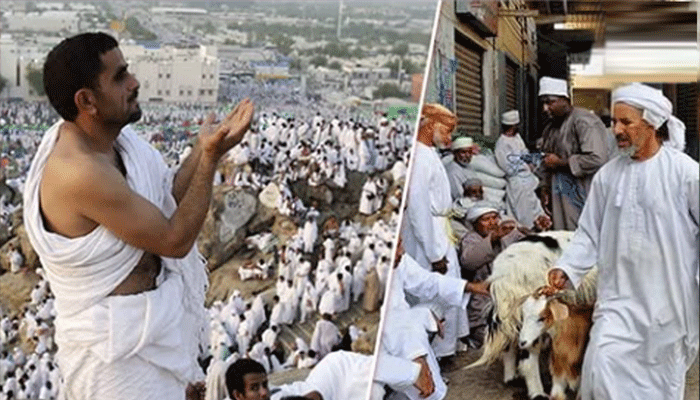 عازمین حج کے لیے قربانی کی رقم مقرر کتنے ہزارروپے اداکرناہوں گے؟