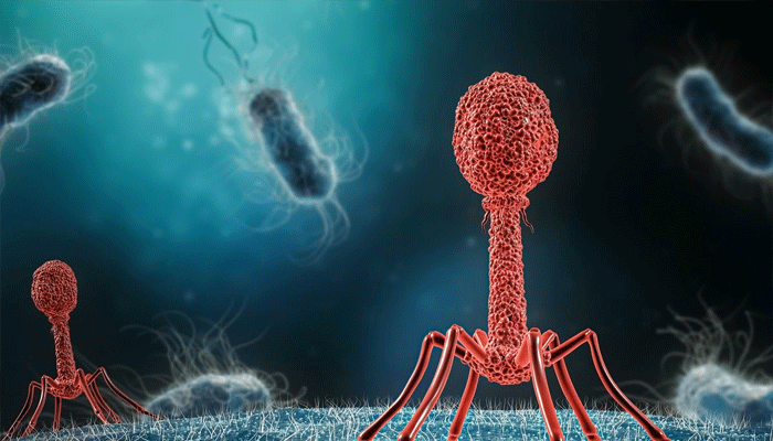 کراچی سمیت سندھ میں پُراسرار جلدی بیماری پھیلنے کا خطرہ
