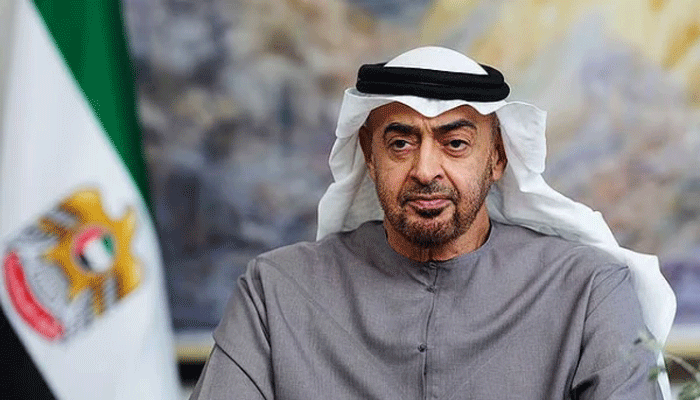 سلامتی کونسل میں آبنائے ہرمز کھولنے کی قرارداد ویٹو؛ متحدہ عرب امارات کا اظہارِ تشویش