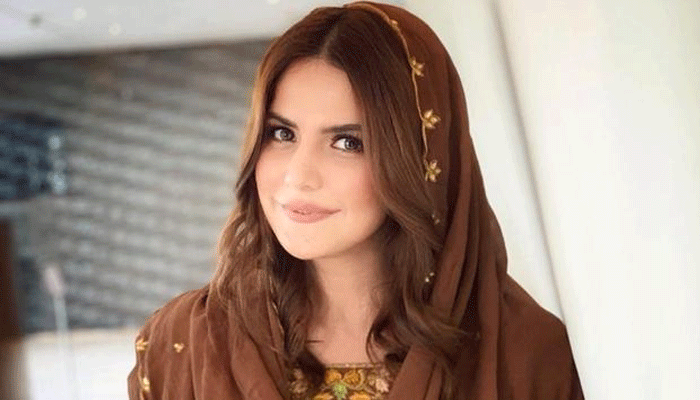 زرین خان کی پہلی محبت؟ انتہائی جذباتی پیغام وائرل