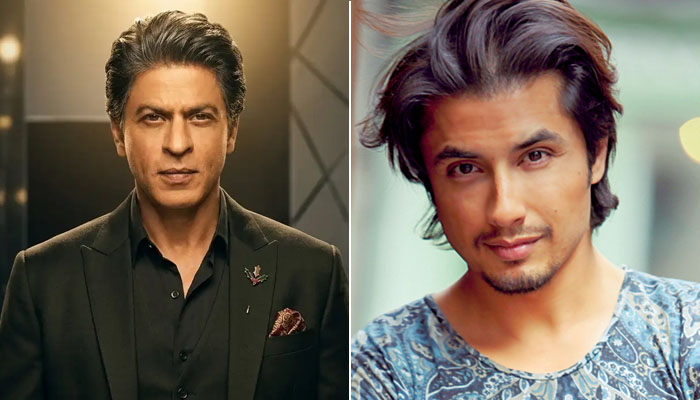 شاہ رخ خان چاہتے تھے میں انکی فلم کیلئے گانا گاؤں، علی ظفر کا انکشاف