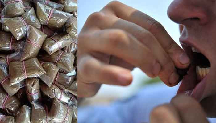 نسوار سے متعلق نیا قانون؟اب سزائیں اور جرمانے