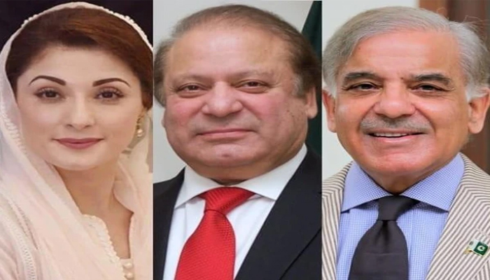 وزیرِ اعظم  کی جاتی امراء میں  قائد مسلم لیگ ن میاں محمد نواز شریف سے اہم ملاقات